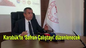 Karabük'te 'Safran Çalıştayı' düzenlenecek