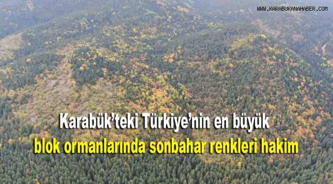 Karabük'teki Türkiye'nin en büyük blok ormanlarında sonbahar renkleri hakim oluyor