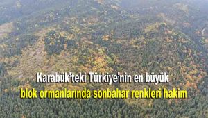 Karabük'teki Türkiye'nin en büyük blok ormanlarında sonbahar renkleri hakim oluyor