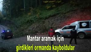 Mantar aramak için girdikleri ormanda kayboldular