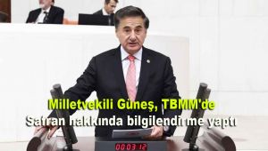 Milletvekili Güneş, TBMM'de safran hakkında bilgilendirme yaptı
