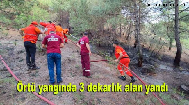Örtü yangında 3 dekarlık alan yandı