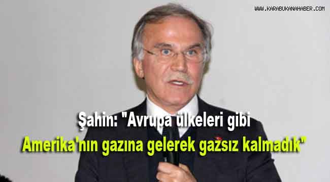 Şahin: