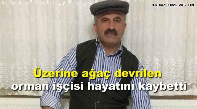 Üzerine ağaç devrilen orman işçisi hayatını kaybetti