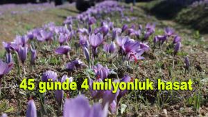 45 günde 4 milyonluk hasat