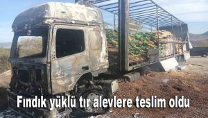 Fındık yüklü tır alevlere teslim oldu