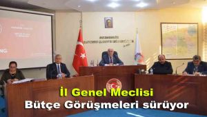 İl Genel Meclisi Bütçe Görüşmeleri sürüyor