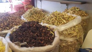 Kilosu 250 ile 400 lira arasında değişen ıhlamur vatandaşların vazgeçilmezi oldu