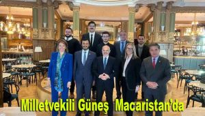 Milletvekili Güneş Macaristan'da