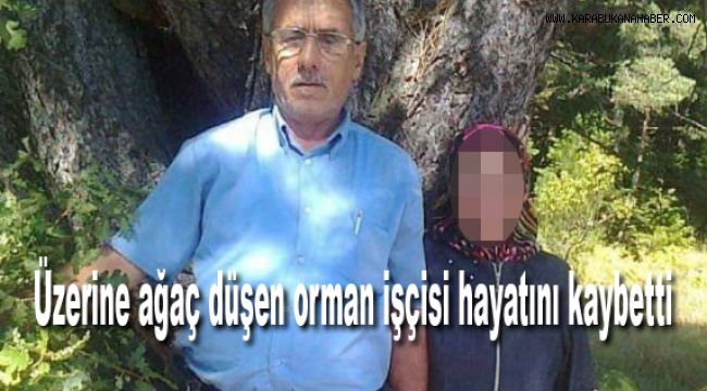 Üzerine ağaç düşen orman işçisi hayatını kaybetti