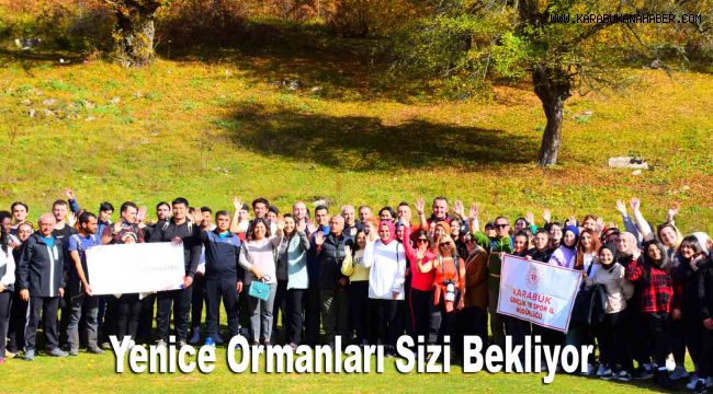 Yenice Ormanları Sizi Bekliyor