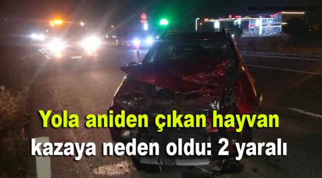 Yola aniden çıkan hayvan kazaya neden oldu: 2 yaralı