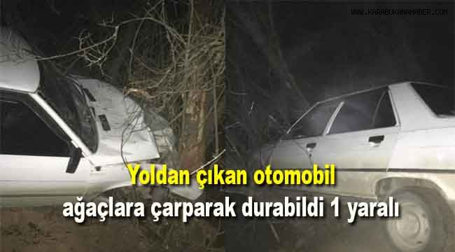 Yoldan çıkan otomobil ağaçlara çarparak durabildi: 1 yaralı