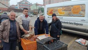 Eflani'den Kars' a ilk kaz satışı yapıldı