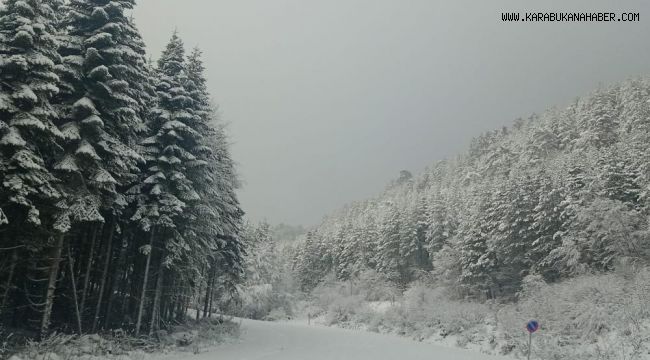 Karabük'te kar yağışı etkili oluyor