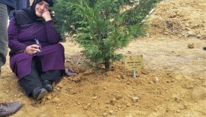 Maden şehitlerinin aileleri fidan dikiminde gözyaşlarına hakim olamadı