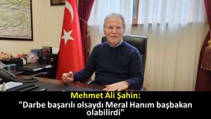 Mehmet Ali Şahin: