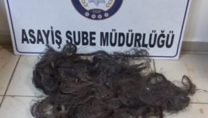 Kablo çalan şahıs yakalandı