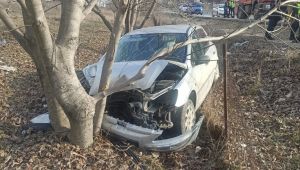 Otomobil ceviz ağacına çarptı: 2 yaralı