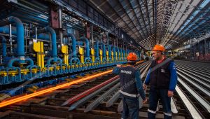 Zonguldak Çevre Müdürlüğü,