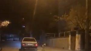 Köpeği otomobilin kapısına bağlayıp koşturdu
