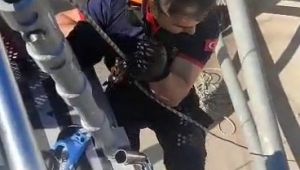 Çatıda mahsur kalan kediyi itfaiye kurtardı