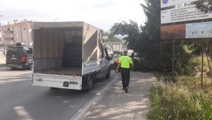 Kara yoluna devrilen iki ağaç kaldırıldı