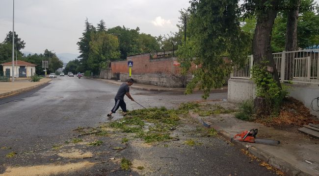 Rüzgar ağaçları devirdi, yıldırım düşmesi böyle görüntülendi