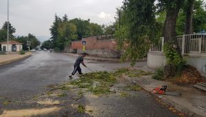 Rüzgar ağaçları devirdi, yıldırım düşmesi böyle görüntülendi