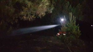 Karabük'te korkutan örtü yangını