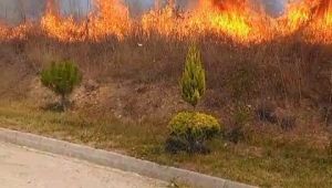 Otluk alanda çıkan yangın korkuttu