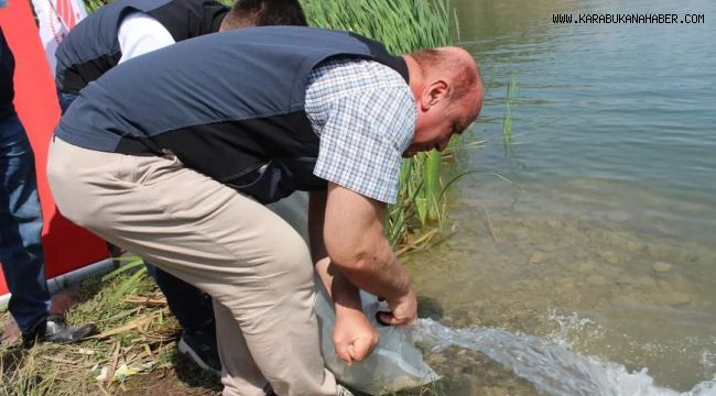 Karabük'te göl ve göletlere 30 bin yavru sazan balığı bırakıldı
