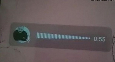 Katil kocanın eşini ve kayınvalidesini öldürdükten sonra yaptığı paylaşımlar kan dondurdu