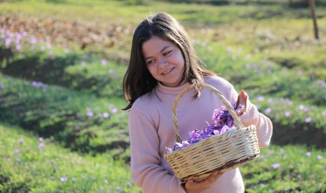 7. Safran Festivali 13-15 Ekim'de yapılacak