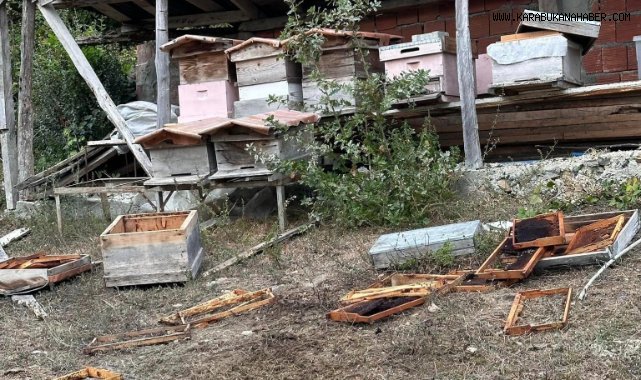 Ayı girdiği bahçede incir ağaçları ile arı kovanlarına zarar verdi