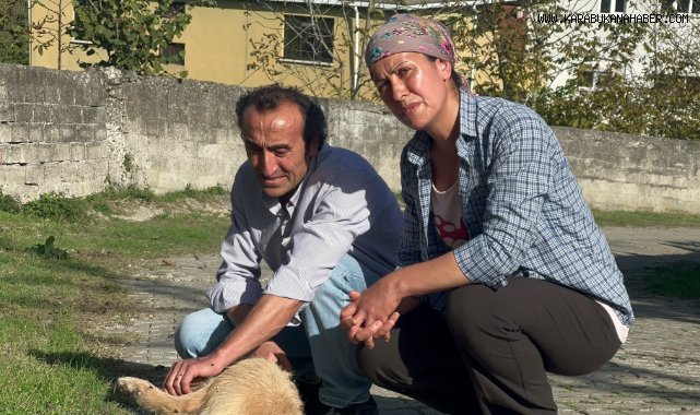 Beslediği köpeği darp edilerek öldürüldü