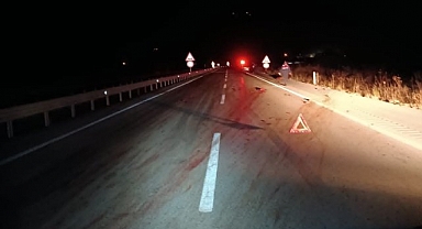 Domuz sürüsüne çarpan otomobildeki 6 kişi yaralandı