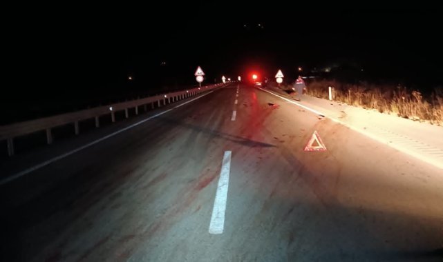 Domuz sürüsüne çarpan otomobildeki 6 kişi yaralandı