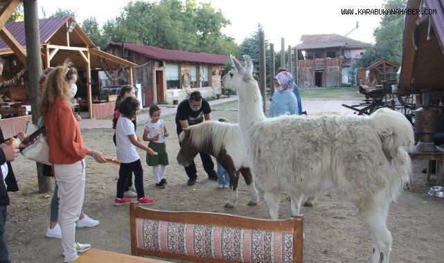 İlçenin maskotu haline gelen “Pamuk” isimli lama, çıkan yangın sonucu telef oldu