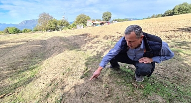 Kurak hava safranı da vurdu