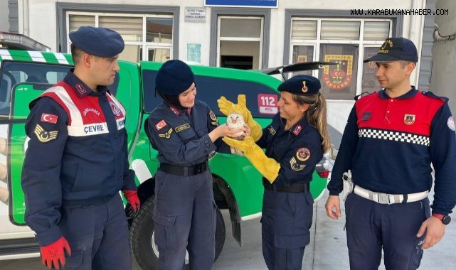 Yaralı baykuşa jandarma şefkati