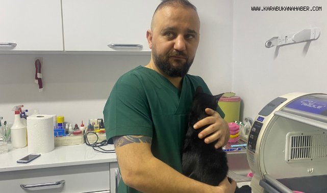 6. kattan düşen kedinin kaval kemiği kırıldı