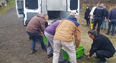 Öğretim üyesi hobi bahçesinde ölü bulundu