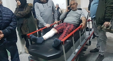 Sürüyü otlatırken ayı saldırısına uğrayan 2 kişi ölümden döndü