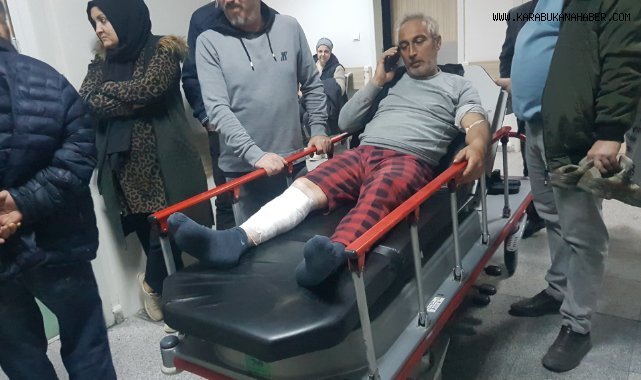 Sürüyü otlatırken ayı saldırısına uğrayan 2 kişi ölümden döndü