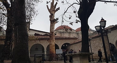Kurumaya yüz tutmuş 350 yıllık ağacı heykele dönüştürdüler