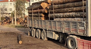 Üzerine tomruk düşen sürücü hayatını kaybetti