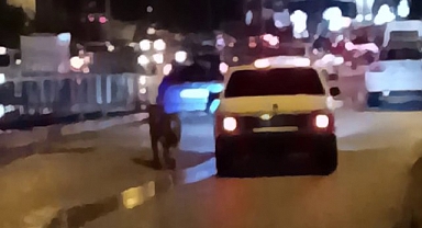 Köpeği arabanın peşinden koşturan sürücü kamerada