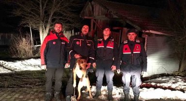 Kayalıkta mahsur kalan köpek kurtarıldı