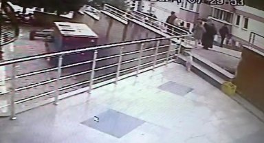 Sokak kedilerine çarpan sürücülere 14 bin 432 lira ceza